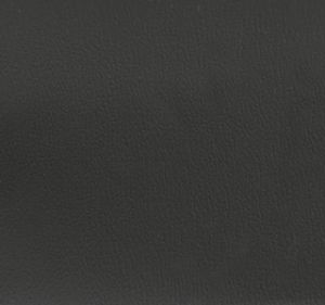 Black swatch