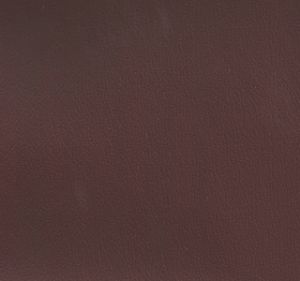 Burgundy swatch