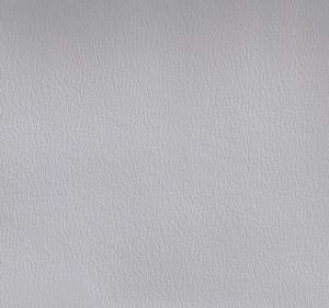 Dove swatch