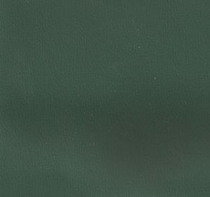 Forest swatch