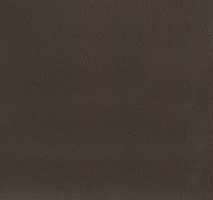 Mocha swatch