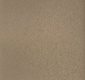 Taupe swatch
