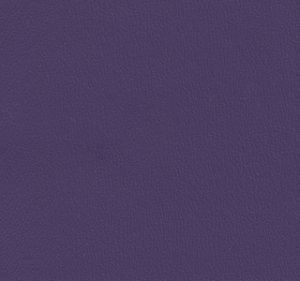 Violet swatch